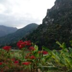 dsc01780