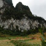 dsc01803